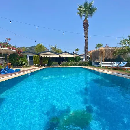 酒店 Boutique 达利安