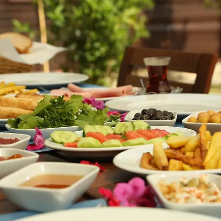 酒店 Boutique 达利安